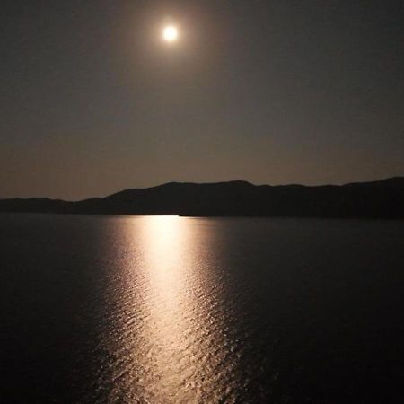Beach Villa Ratac Slano Dış mekan fotoğraf